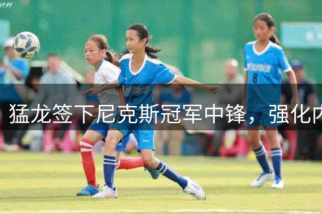 猛龙签下尼克斯冠军中锋，强化内线防守深度